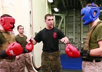 U.S. Marine Breeds Martial Arts Instructors