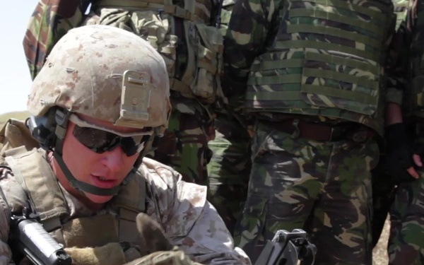 Agile Spirit 15 - Range - U.S. Marines, Georgians, Romanians and Bulgarians