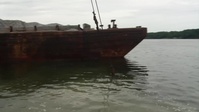 Great Wicomico River Oyster Reef Building