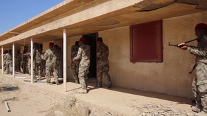 ISF Trains Tribal Fighters at Al Taqaddum (b-roll)