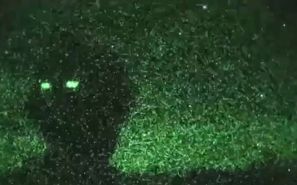 Bronco Soldiers Support Australian Army 7th Brigade Combat Training at Talisman Sabre 15 Exercise Hamel