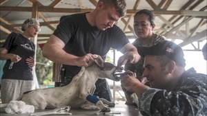 Photo Slideshow of USNS Mercy's Visit to Papua New Guinea