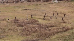 U.S. Marines, Partner Nations Practice Defensive Maneuvers