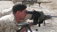 Bring Sight to the Fight