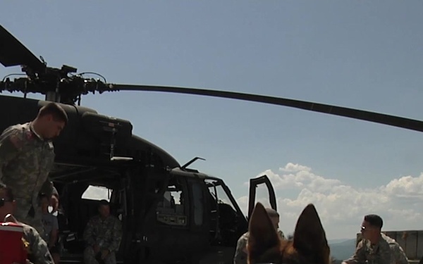 Military Working Dogs and Handlers, Partners in Safety and Security
