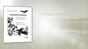 Endangered Species