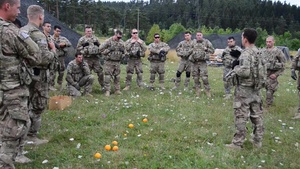 4-319th AFAR Support Training With British Army During Wessex Strom