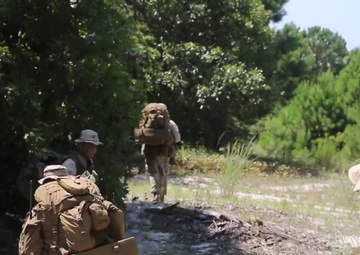 Warlords Train New Marines in Scout Sniper Capabilities