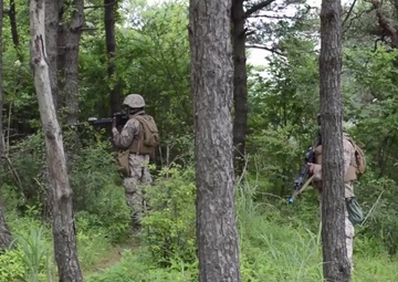Marines, Sailors conduct aircraft salvage training during Exercise Eagle Wrath