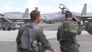 Sentry Eagle 2015