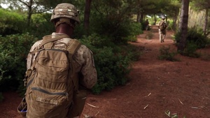 Back to Basics: Infantrymen Sharpen Skills in Spain (B-Roll)