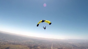 Frogmen Falling From the Sky
