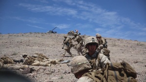1/3 Conducts Battalion Assault Exercise