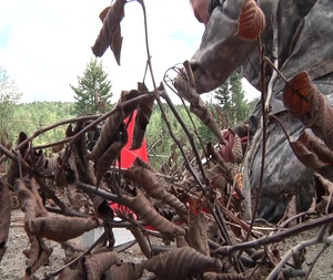 Humanitarian Demining Class