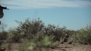 Desert Warrior Spot