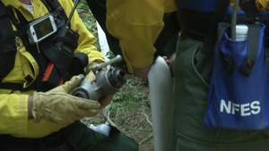Soldiers Help Suppress Wildfire