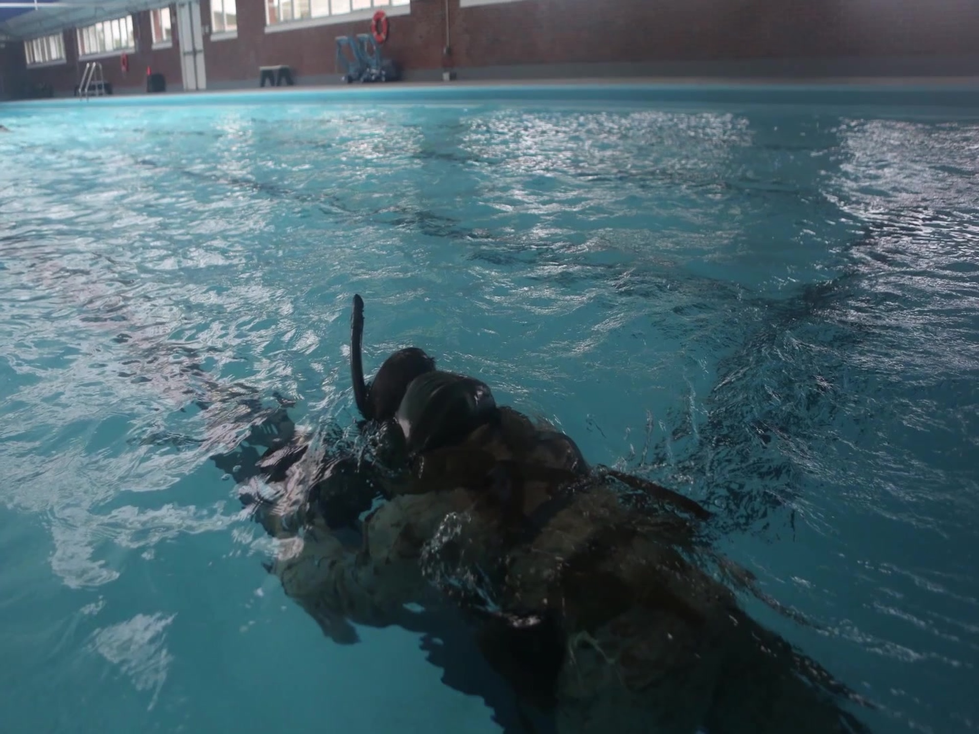 Marines with 2nd Reconnaissance Battalion, 2nd Marine Division, conduct a pre-dive course aboard Camp Lejeune, N.C. Aug. 17-28, 2015. Marines participating in the course were preparing for the Combative Diver Course in Panama City, Fla. later this year.