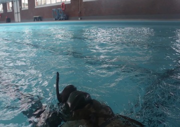 Head First: 2nd Recon Bn. Conducts Pre-Dive Course