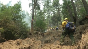 Soldiers Fight Fire with Fire