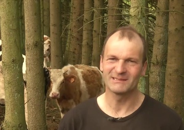 Bringing Heroes Home