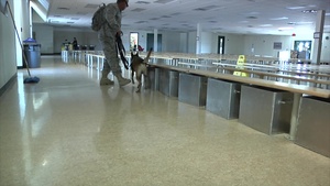 Military Police Working Dog Certification Course