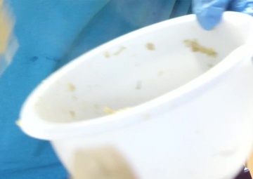 Lilah's Little Delights (With Graphics)