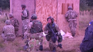 173rd Paratroopers Conduct Live Fire Exercises During Fearless Guardian