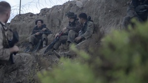 Dawn Blitz 2015 Landings on Red Beach