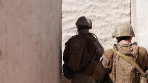Kiwis hone urban combat tactics in IIT