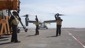 American Osprey lands on Spanish ship