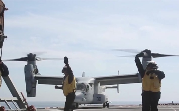 American Osprey lands on Spanish ship