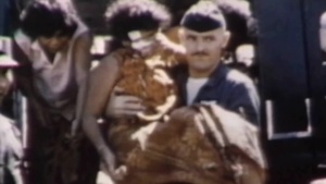 A Look Through U.S. Air Force History