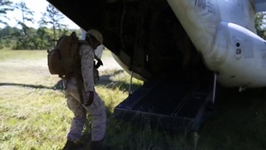 Thunder Chickens Support Ground Troops