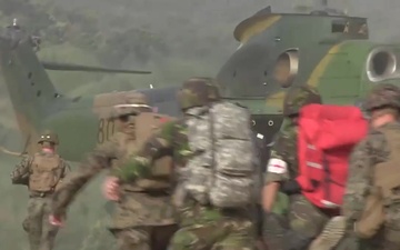 Romanians, U.S. Marines Strengthen NATO Bond During Platinum Lynx
