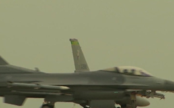 Eyes From the Ground