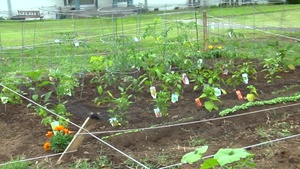 Grand Opening of Camp Zama/SHA Community Garden