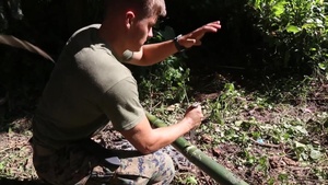 Jungle Environment Survival Training