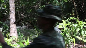 Jungle Environment Survival Training
