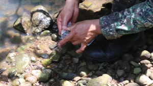 Jungle Environment Survival Training