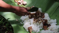 Jungle Environment Survival Training