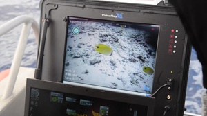 Coast Guard Regional Dive Locker Pacific, Maritime Safety and Security Team Honolulu conduct ROV training off Oahu
