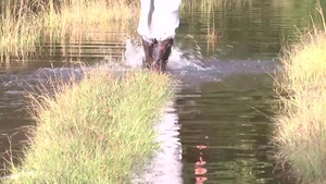 S.C. Guard's 1053rd Trans Co Assists Flood Victims