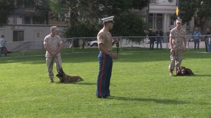 San Francisco Fleet Week Bark in the Park