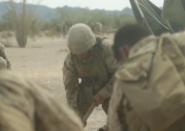 WTI 1-16 Assault Support Tactics 1