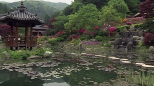 Garden of Morning Calm