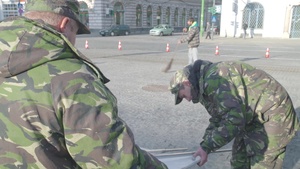 Dragoon Crossing Romania Static Display