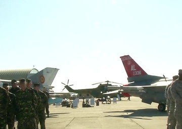 Red Tails In Romania (Without Graphics)