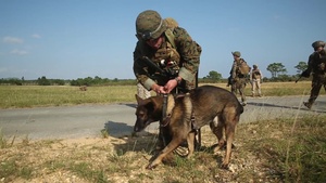 Law Enforcement BN Conducts TRAP Exercise During Blue Chromite