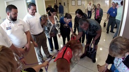 Veterans Receive Unusual Visit from Therapy Dogs