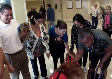 Veterans receive unusual visit, therapy dogs